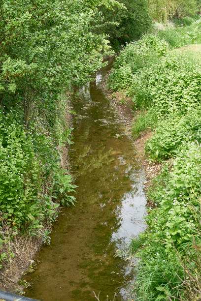 istock SKEFFLING VILLAGE GREEN SPURN ROAD YORKSHIRE 958926954