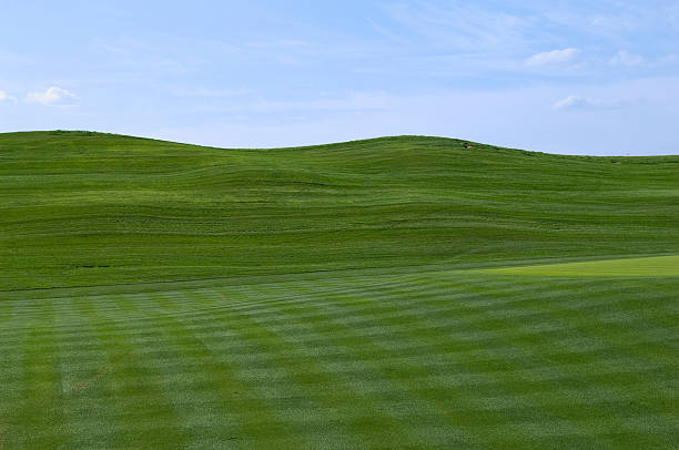 istock Fairway at a Professional Golf Course with Putting Green 95892747
