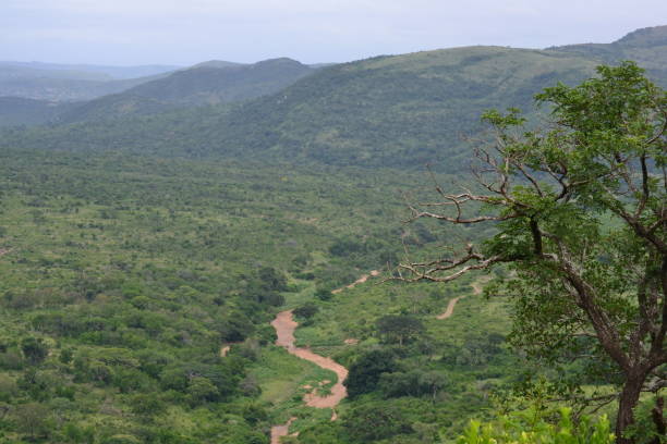 istock Hluhluwe park landschapje river 958927932