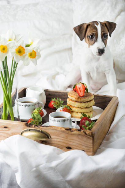 istock Breakfast in bed: cottage cheese pancakes, coffee and strawberries 958930252