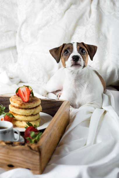 istock Breakfast in bed: cottage cheese pancakes, coffee and strawberries 958931114