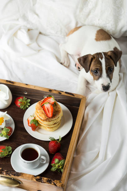 istock Breakfast in bed: cottage cheese pancakes, coffee and strawberries 958931278