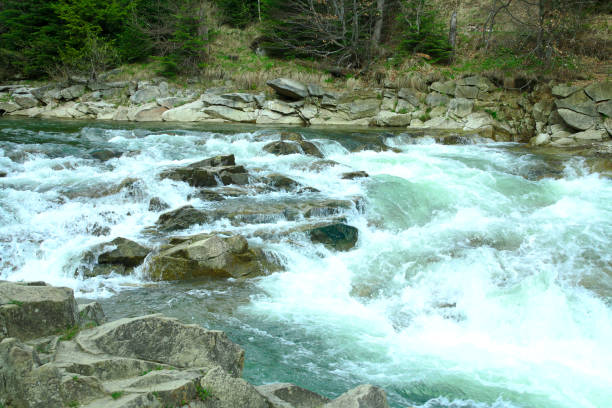 istock mountain river in the forest, summer hiking trails, river rapids, sharp rocks 958931428