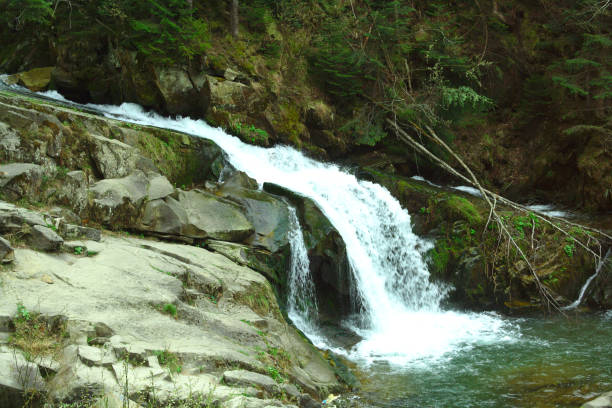 istock mountain river in the gorge, summer hiking trails, stormy stream 958931562