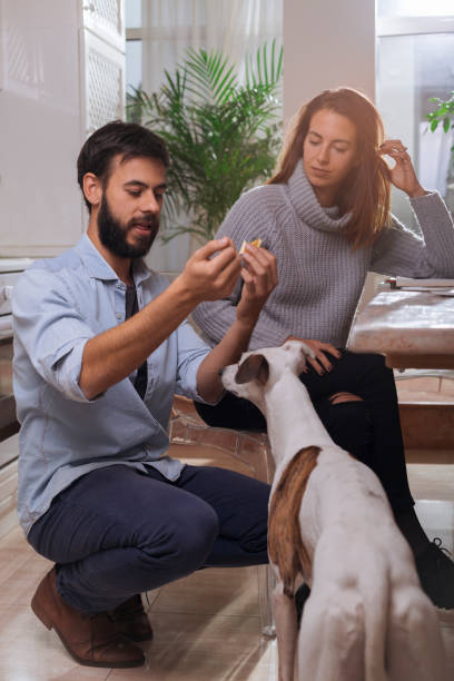 istock Couple with mens best friend 958931622