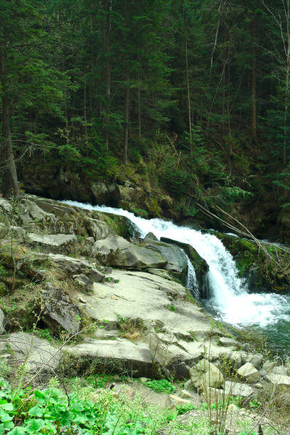 istock mountain river in the gorge, summer hiking trails, waterfall 958931808