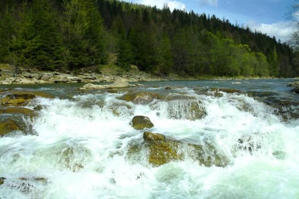 istock mountain river in the mountains, summer hiking trails, river rapids, forest on the banks 958932146