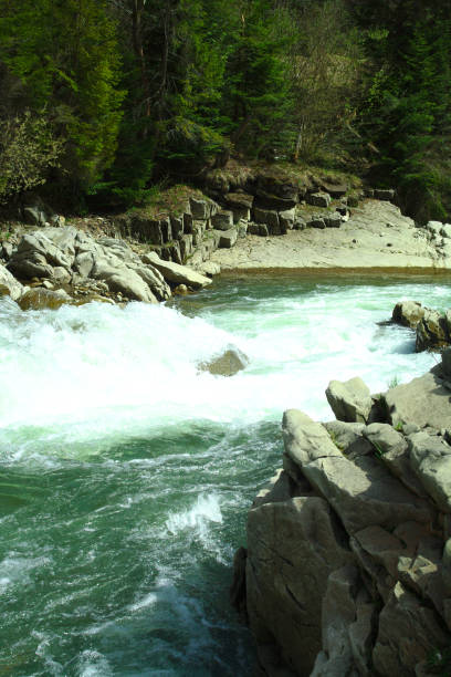 istock mountain river, summer hiking trails, river rapids, foam water, rocky coast 958934556