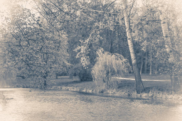 istock Vintage photo park 958935108
