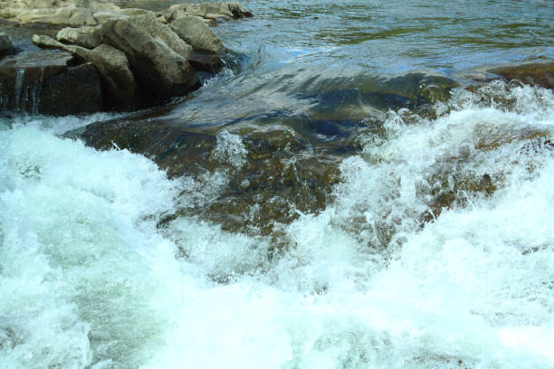 istock summer hiking trails, mountain river in the mountains, river rapids 958935194