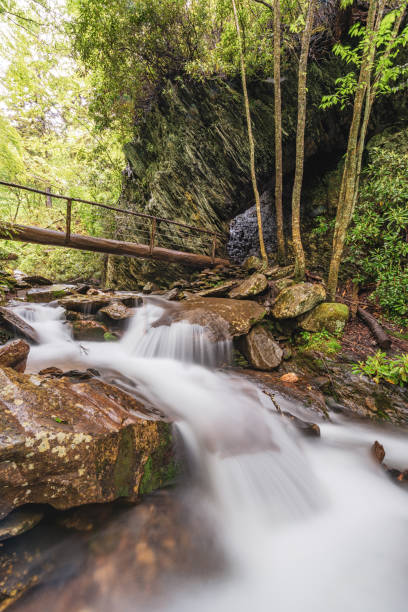 смоки-маунтинс - waterfall stream river tennessee стоковые фото и изображения