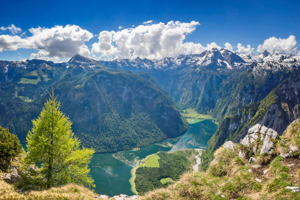 vista arriale sul lago königssee nel parco nazionale berchtesgaden - koenigsee foto e immagini stock