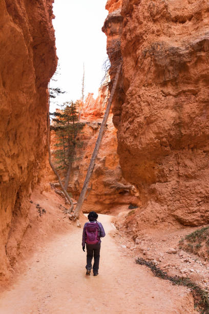 istock hiking Bryce Canyon National Park 958936694