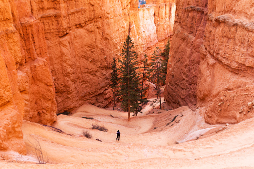 Scenic views of Bryce Canyon National Park in Utah. Woman hiking the navajo trail