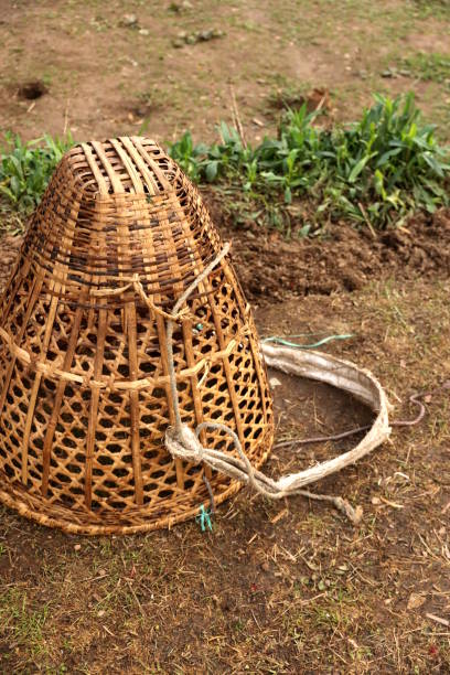 Transport Sherpa Basket Nepal, Village, Bamboo - Material, Basket, Blanket, Asia, Himalayas, Kangchenjunga, Kathmandu, Nepal nepal village basket bamboo stock pictures, royalty-free photos & images