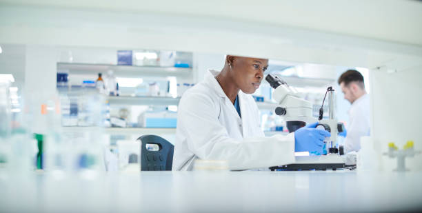 research lab female scientist in a busy research lab laboratory chemist scientist medical research stock pictures, royalty-free photos & images