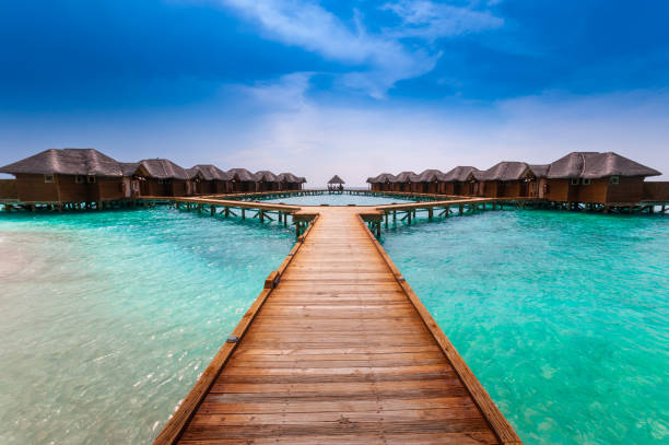 istock Water villas in hotel resort, Maldives 958946224