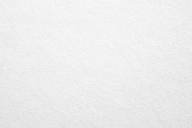 white wall texture background gray paper card light old with space abstract art backdrop bright banner blank and clean clear with frame or border grey gradient studio design board