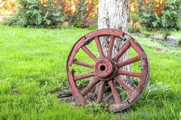 Photo of Decorative old trolley wheel stands near the tree in the garden as decoration