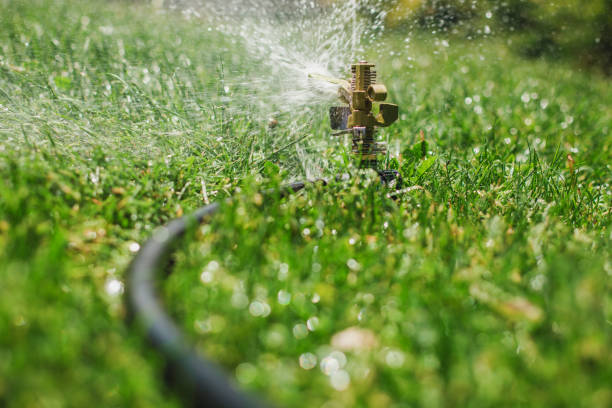 istock Automatic Garden Lawn sprinkler in action watering grass 958950092