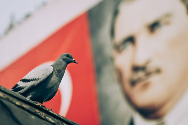 Pigeon and Mustafa Kemal Ataturk The photo on the back has no copyright. The poster on the back belongs to Atatürk, the founder of the country that died 80 years ago. kalender stock pictures, royalty-free photos & images