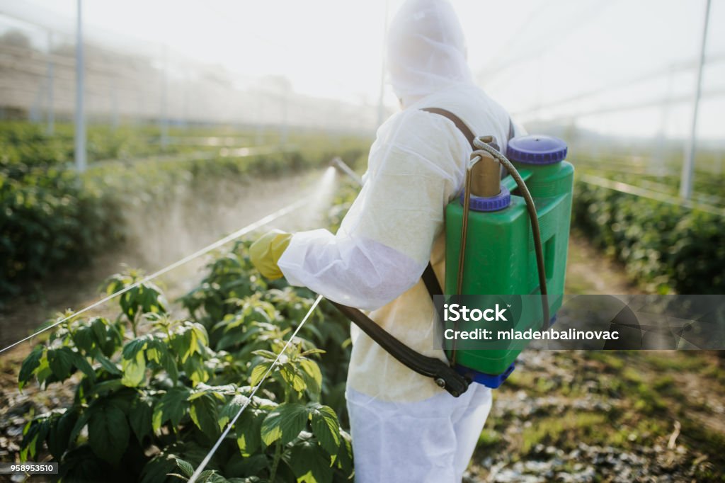 Agricultural worker takes care of his estate Crop Sprayer Stock Photo