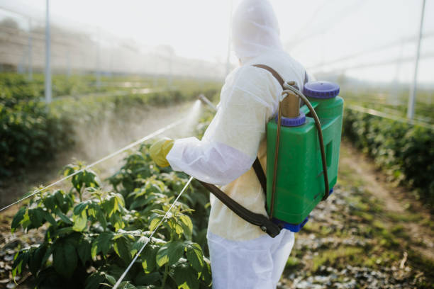 agricultural worker takes care of his estate - spraying agriculture farm herbicide imagens e fotografias de stock