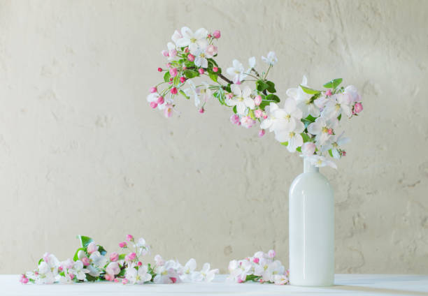 spring flowers in vase on white background