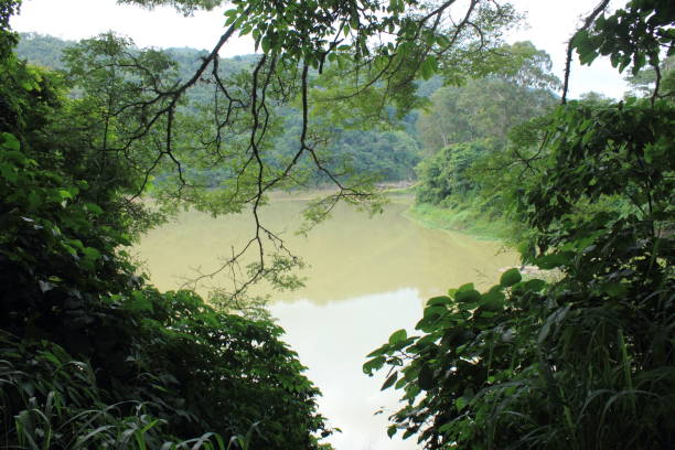 istock Famous water reservoir La Mariposa located in Las Mayas Miranda Venezuela 958956708