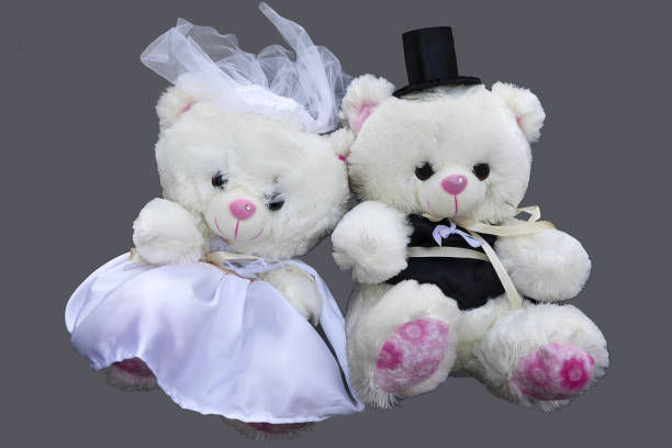 istock Two Teddy Bears isolated on gray background. 958956912