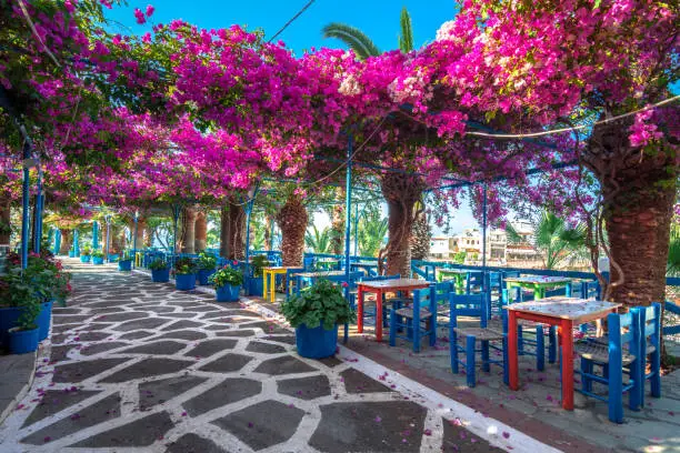 Narrow paved street full of colorful flowers in Sisi, Crete, Greece.