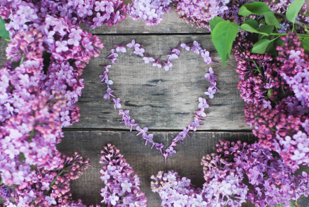 istock Spring flowers. Lilac flowers Frame Heart Shape Textured rustic Gray wooden background. Top view, flat lay 958962602