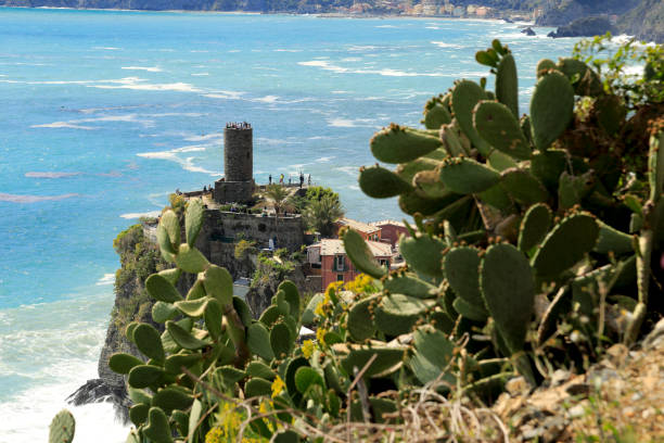istock Cactus, Vernazza and rough sea 958968360