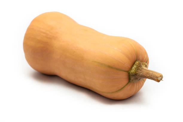 istock Colorful pumpkin and squash Butternut 958968818