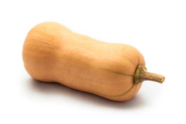 istock Colorful pumpkin and squash Butternut 958969126