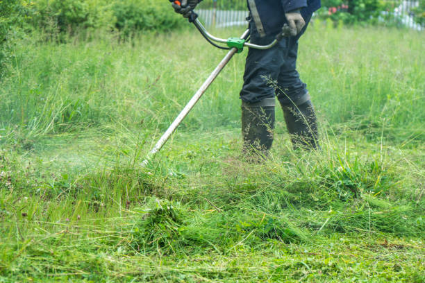 istock The gardener cutting grass by lawn mower 958971706