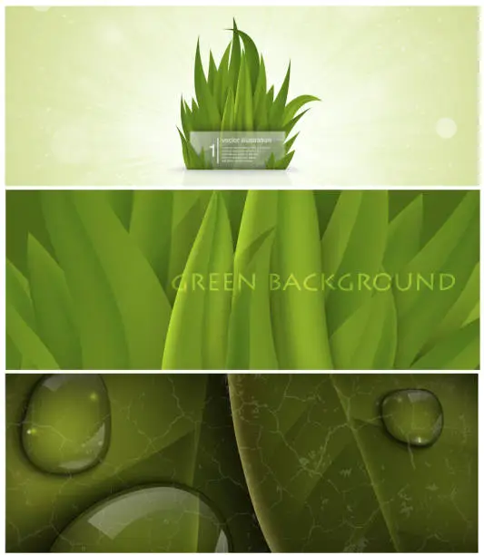Vector illustration of set of grass nature banner for facebook Poster vector Design