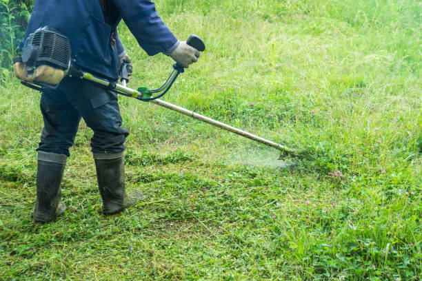 istock The gardener cutting grass by lawn mower 958975364