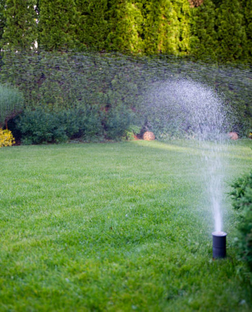 istock Irrigation of the green grass with sprinkler system. 958978274