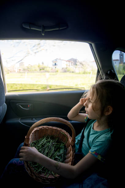 istock Young Girl Heading Back From Asparagus Picking Trip 958983958