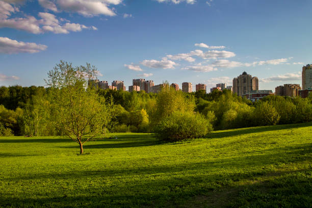 beauty shades at city public park at spring sunset with blue sky and clouds