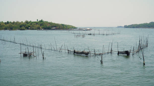 Fish farm with cages for fish and shrimp in the Philippines, Luzon. Fish ponds for bangus, milkfish. Fish cage for tilapia, milkfish farming aquaculture or pisciculture practices.