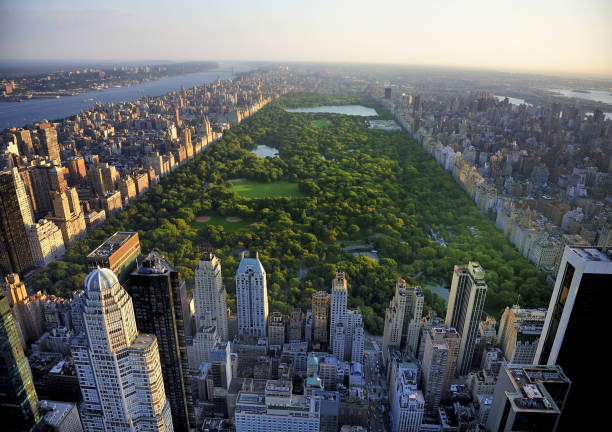 vista aerea di central park dal centro di manhattan - central park foto e immagini stock