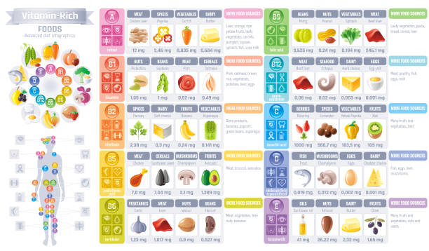 ilustraciones, imágenes clip art, dibujos animados e iconos de stock de iconos de alimentos ricos de vitamina. alimentación saludable vector conjunto de iconos, texto letras logo, fondo aislado. infografías de alimentación diagrama diseño de flyer. ilustración de la mesa - carne, comida vegetariana, equilibrado menú - mineral