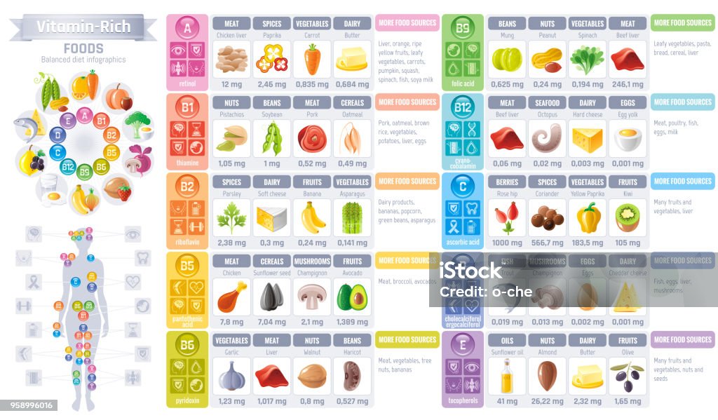 Vitamin rich food icons. Healthy eating vector icon set, text lettering logo, isolated background. Diet Infographics diagram flyer design. Table illustration - meat, vegetarian food, balanced menu Vitamin stock vector