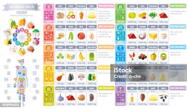 Vitamin Rich Food Icons Healthy Eating Vector Icon Set Text Lettering Logo Isolated Background Diet Infographics Diagram Flyer Design Table Illustration Meat Vegetarian Food Balanced Menu Stock Illustration - Download Image Now