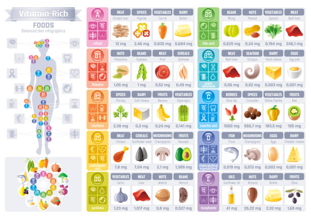 Vitamin rich food icons. Healthy eating vector icon set, text lettering logo, isolated background. Diet Infographics diagram flyer design. Table illustration, human health body, meal banner Vitamin rich food icons. Healthy eating vector icon set, text lettering logo, isolated background. Diet Infographics diagram flyer design. Table illustration, human health body, meal banner vertebrate stock illustrations