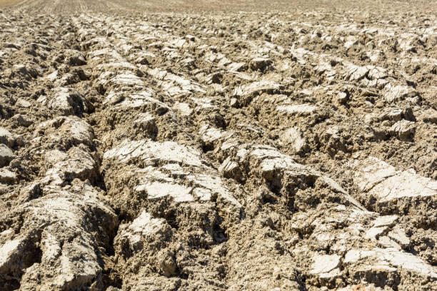 Plowed land with deep furrows dried by the sun.