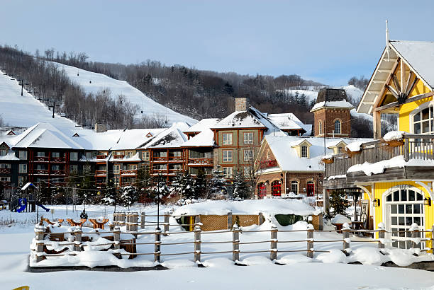 zima biały - blue mountain ontario zdjęcia i obrazy z banku zdjęć