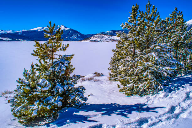 istock Wilderness in Breckenridge, Colorado 959000604